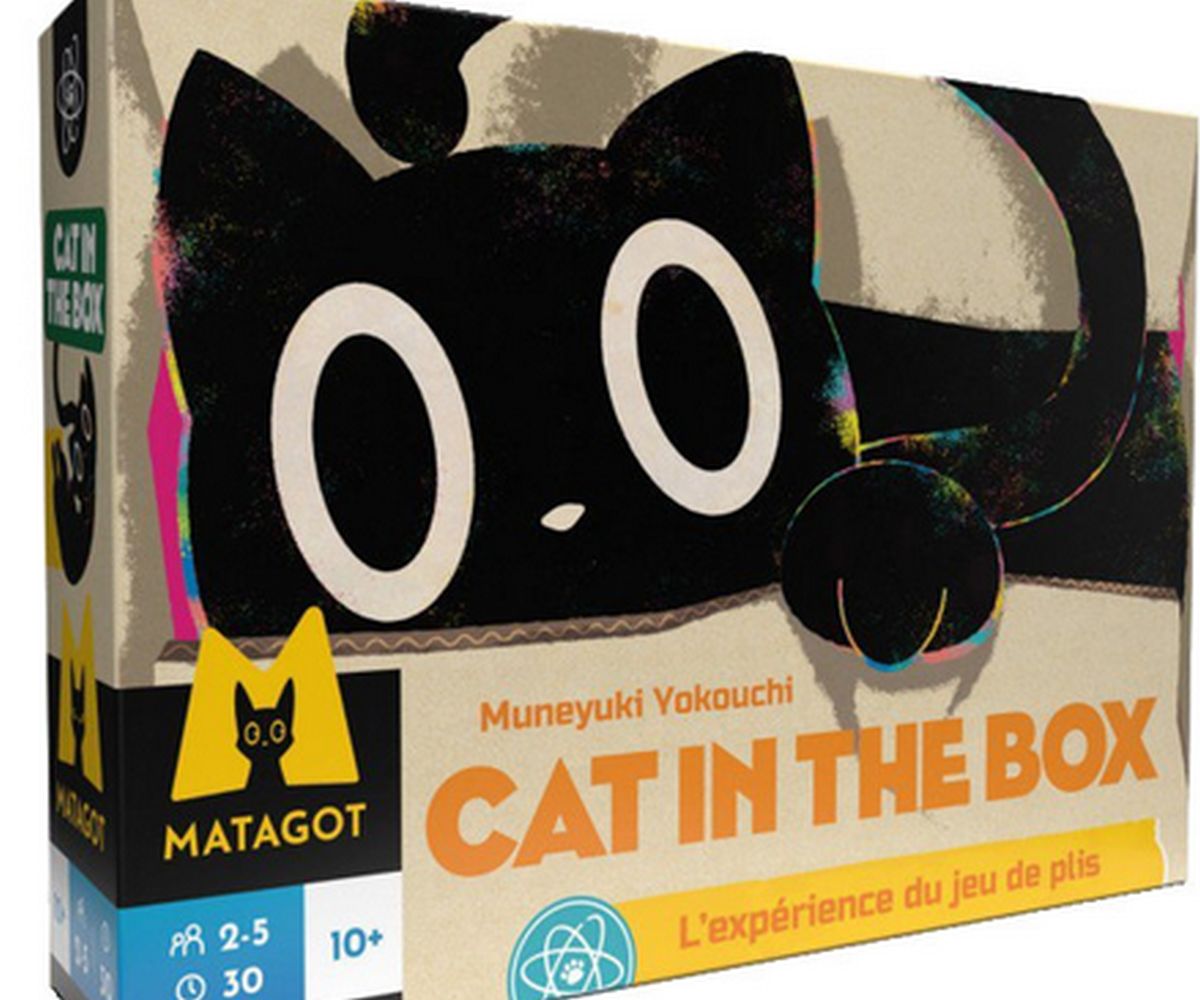 Le jeu de cartes Cat in the Box stratégies, avis et partenaires pour un moment ludique